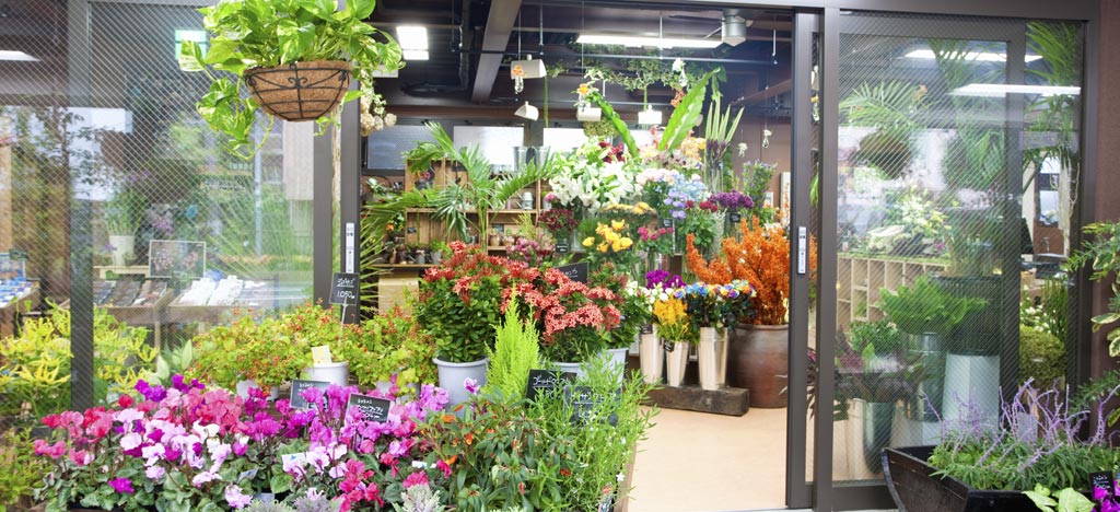 BottomLine Business Brokers | The Best Businesses for Sale