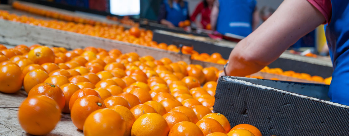 BottomLine Business Brokers | The Best Businesses for Sale