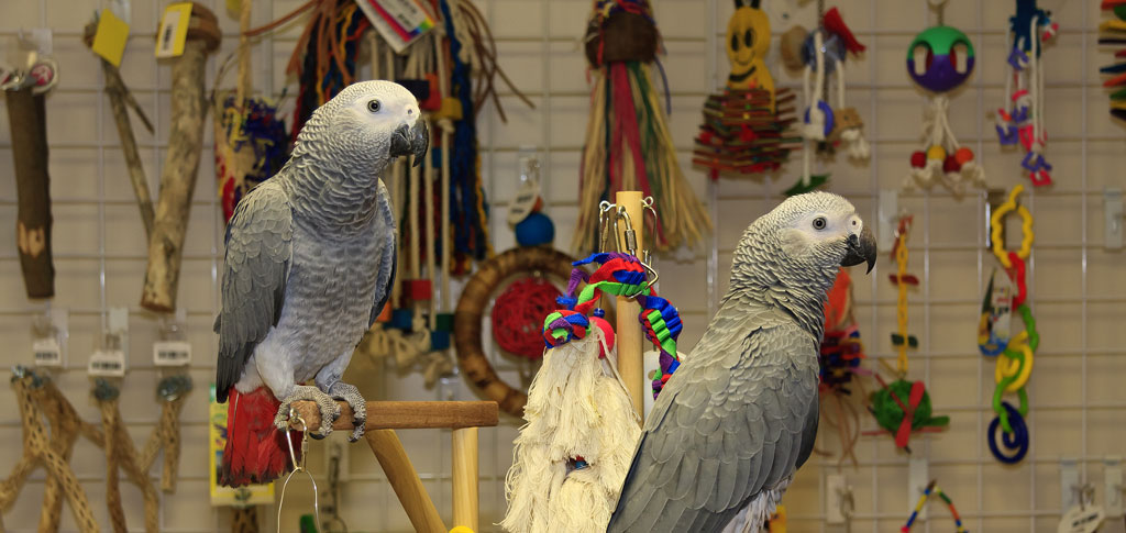 BottomLine Business Brokers | The Best Businesses for Sale