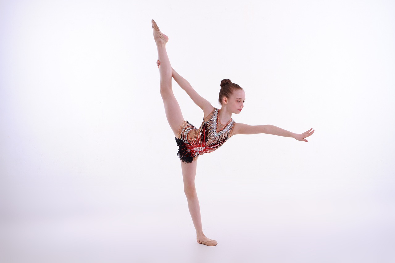 Established Profitable Gymnastics Club