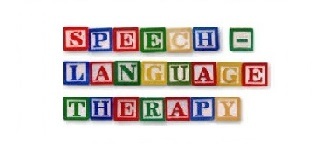 Speech-Language Pathology Practice