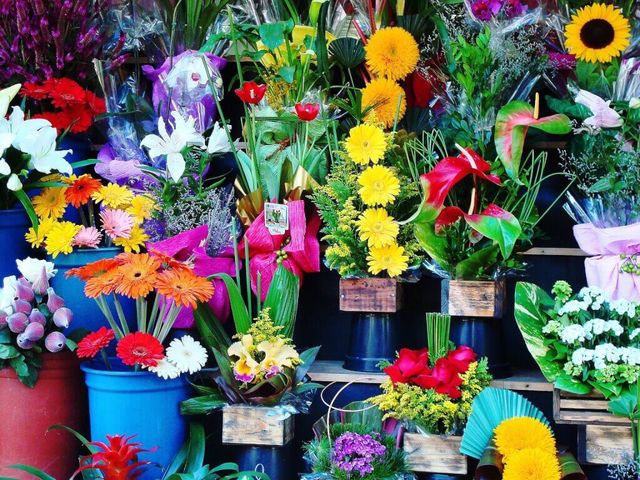 Popular Flower Shop